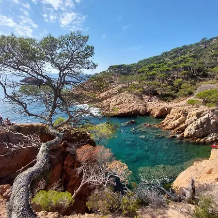 Apartment Sa Riera, Vue Mer, De Charme Pour 4 Personnes A 5mn De La